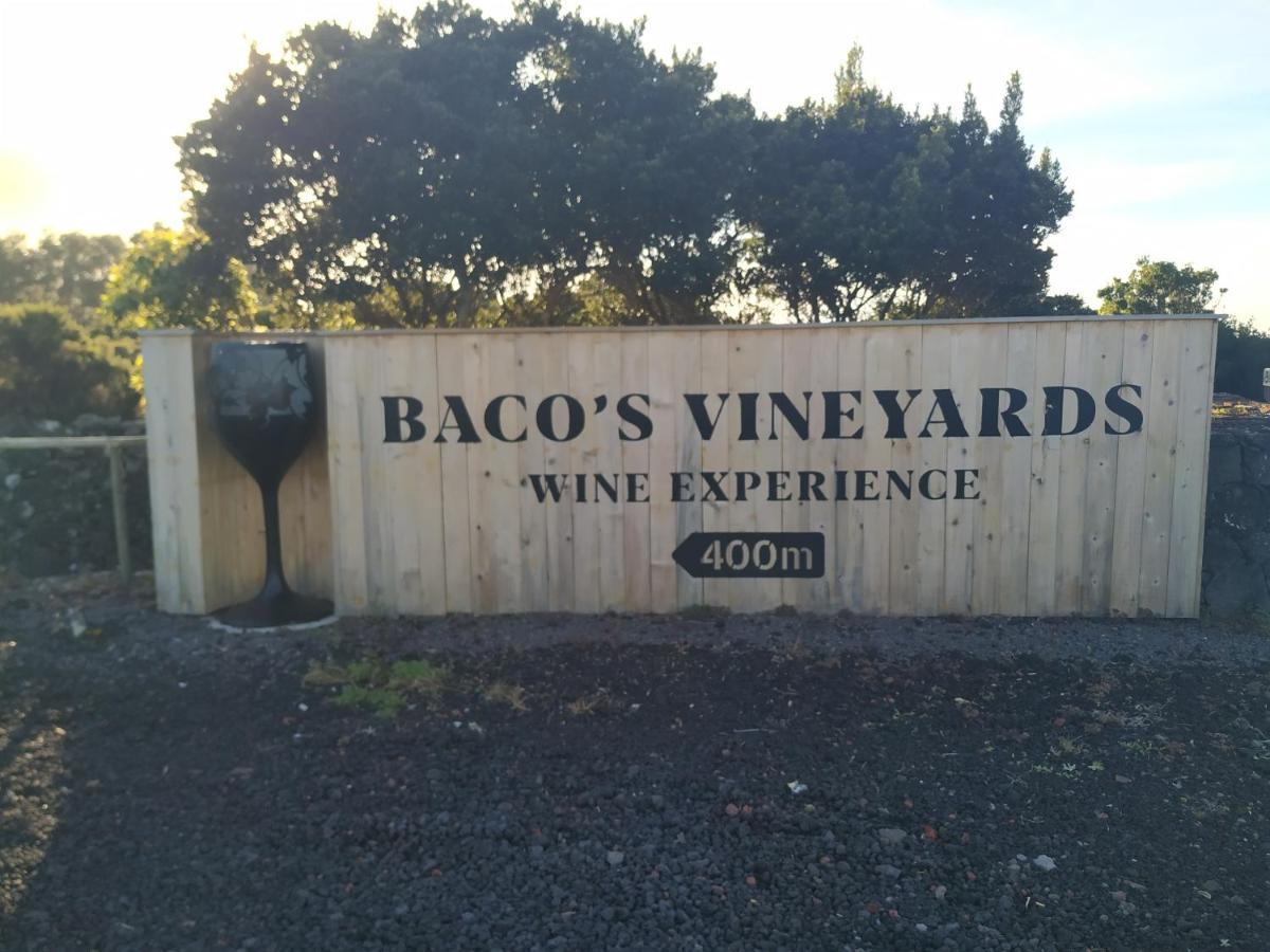 Baco'S Vineyard Villa Lajido Esterno foto